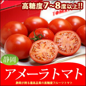 【送料無料】高糖度フルーツトマト　アメーラトマト（約900g）野菜ソムリエが選ぶベジフルサミ...