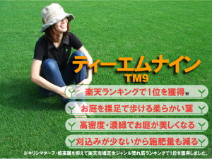 【芝生】ティーエムナイン(高麗芝) TM9は刈り込みと施肥回数が少ない手入れが楽で見た目もキレ...