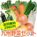 九州産の野菜10点詰め合わせ送料無料！九州野菜セット＜きゃべつ、おくら、さつまいも、新生姜...