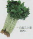 【その他の菜類】白茎三つ葉〔固定種〕/小袋