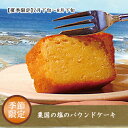 【音衛門のパウンドケーキ】【夏季限定】粟国の塩のパウンドケーキ