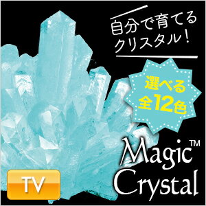 マジッククリスタル 10日で育つ不思議なクリスタル Magic Crystal 手作りキット