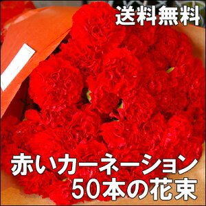 【2016 母の日 早割】赤いカーネーション50本の花束【花 送料無料 カーネーション 花束 …
