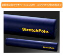 【エクササイズDVD付正規品】人気！LPN製　ストレッチポール EX　（Stretch Pol…