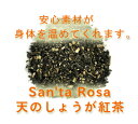 【純国産の熊本県産100％】完全無農薬・無化学肥料　【天のしょうが紅茶】♪♪【茶葉：50g/テ…