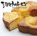 香川県産オーガニックレモンの爽やかな香りと酸味★しっとり仕立てのレモンケーキ瀬戸内レモン