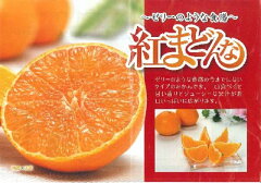 新品種の柑橘ゼリーの様な食感でジュ−シー【紅まどんな】みかん約3K入り箱《送料無料》