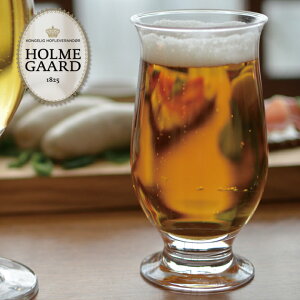 HOLMEGAARD ホルムガードIDEELLE ビアグラス 250ml #4324412ビールジョッキ/発泡酒/北欧