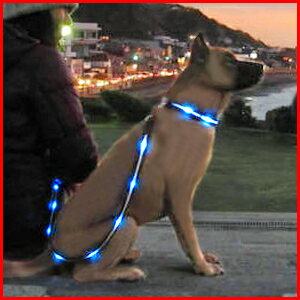 【5カラー展開】5kg〜15kgまでのワンちゃんに対応！愛犬との夜のお散歩がより安全になります！...