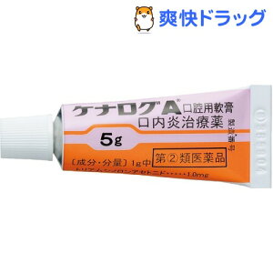 【第(2)類医薬品】ケナログA 口腔用軟膏(5g)