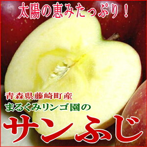 まるくみりんご園の「サンふじりんご」青森県藤崎町 5kg（小玉23個入り)[有機肥料100%・…