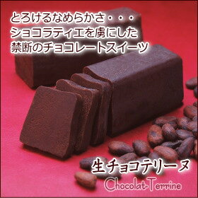 〈東京・自由が丘モンブランオススメ〉コレが焼き菓子？とろけるなめらかさのチョコレートスイ...
