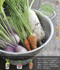 【育てて！食べよう！】【代引手数料無料！】自分野菜3種栽培セット