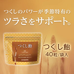 【山田養蜂場】【送料無料】つくし飴 40粒/袋入