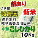 中粒米というだけで特別価格！有機肥料を使った減農薬！混ぜ物なしの単一原料米！お買い得！特...
