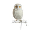 Owl White　【S】正面　フクロウ PUEBCO Artificial Birdsプエブコ アーティフィシャルバード108070【あす楽対応_東海】