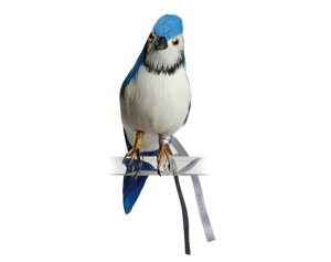 Blue Jay アオカケス　ブルー PUEBCO Artificial Birdsプエブコ アーティフィシャルバード11407...