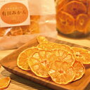 みかん ドライフルーツ 作り方：保存・大量消費レシピとアレンジアイデア 3