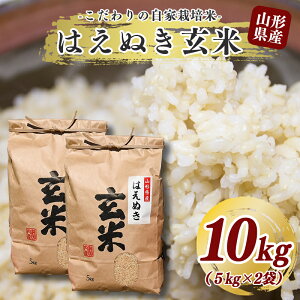 はえぬき 玄米 10kg