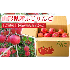 【ご家庭用】山形県産のふじりんご10kg（24～40玉）