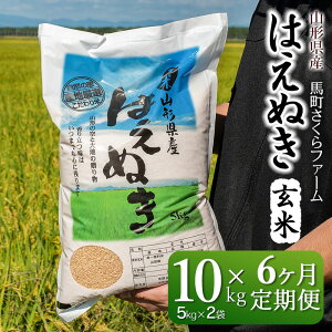 【定期便6回】はえぬき 玄米 10㎏(5㎏×2袋)×6ヶ月