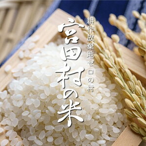 長野県産 減農薬栽培コシヒカリ 玄米 30kg