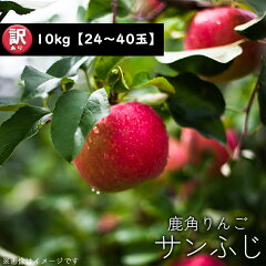【訳あり】鹿角産りんご「サンふじ」家庭用 10kg（24～40玉入）