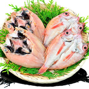 山陰日本海の高級魚 国産のどぐろ干物4枚詰