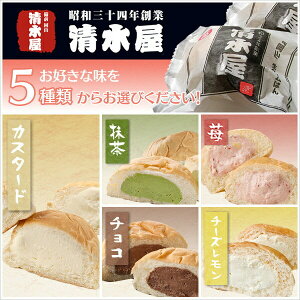 清水屋 生クリームパン 5種 10個 セット