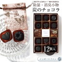 甘くないバレンタインギフト｜kinokoto 炭のチョコラ 消臭剤12個入り