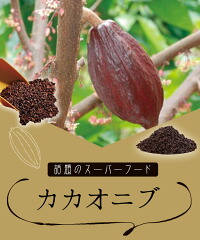 「石挽カカオissai」は、カカオ豆の新たな可能性を追求し、健康と美味しさを兼ね備えた製品を提供することを目指して創設されました。