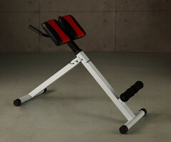 IROTEC（アイロテック） バックエクスベンチ 背筋強化アイテム/ダンベル・ベンチプレス・トレーニング器具・健康器具・ダイエット 器具・体幹トレーニング・エクササイズ