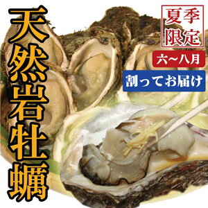 水質のキレイな海でとれた牡蠣だから生でぺろり！【日本海産】天然岩牡蠣《割ってお届け》10個...