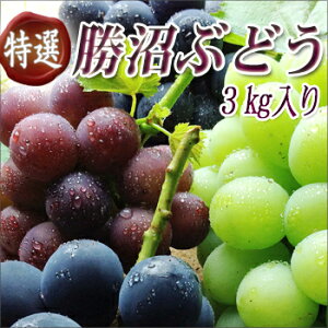 NHK「キッチンが走る！」で杉浦太陽さんから紹介された「ぶどうばたけ」の美味しいブドウ♪全19...