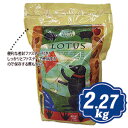 　【正規品】Lotus（ロータス） アダルト ラムレシピ　中粒　2.72Kg【02P22feb11】