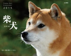 【楽天ブックスならいつでも送料無料】柴犬カレンダー（2015）