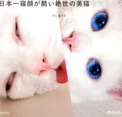 【楽天ブックスならいつでも送料無料】日本一寝顔が酷い絶世の美猫セツちゃん [ mino ]
