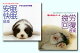 音楽療法健康CDシリーズ（CD）【...