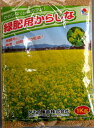 緑肥・景観用　殺菌効果で注目からしなの種(カラシナ) 1kg