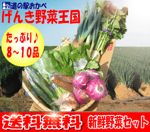 深谷ねぎ入りたっぷり新鮮野菜セット【送料無料】【smtb-TD】【saitama】