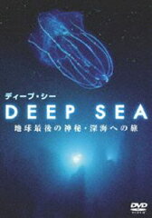 【25%OFF】[DVD] Another World DEEP SEA