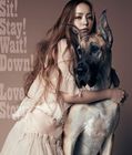 安室奈美恵／Sit! Stay! Wait! Down!／Love Story(CD)