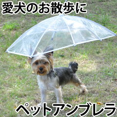 雨が嫌いなワンちゃんのために！ペットアンブレラ 【小型犬用の傘・散歩用雨具】
