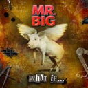 MR.BIG ミスタービッグ / What If... 【CD】