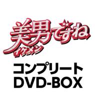 Bungee Price DVD TVドラマその他【送料無料】 美男ですね　コンプリートDVD-BOX 【DVD】