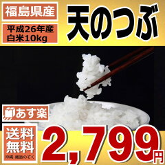【あす楽】【送料無料】26年福島県産天のつぶ白米10kg(5kgx2袋)