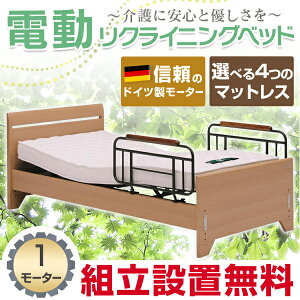 電動ベッド 電動リクライニングベッド 介護用ベッド シングルサイズ ドイツ社製モーター 送料無...