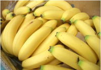 スポーツ時の栄養補給に忙しい朝に、そしてダイエットにぴったりのバナナ！送料無料 バナナ　約...