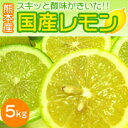 スキッ!!と酸味のきいた爽やかな香りの熊本産国産レモン!!国産レモン5kg