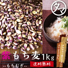 超レア食材！【送料無料】超希少な紫もち麦1kg（福岡県産）紫が濃い状態で収穫したもち麦です。も…